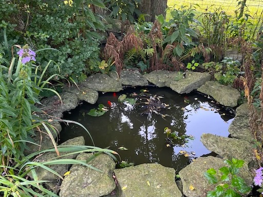 maintain-a-small-pond
