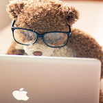 water-lily-bear-website