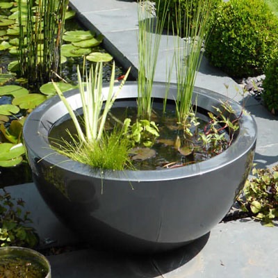 Small Patio Water Garden