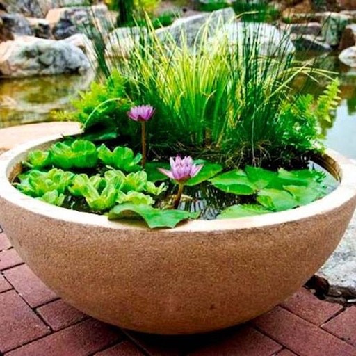 Beautiful Free-Standing Patio Water Garden